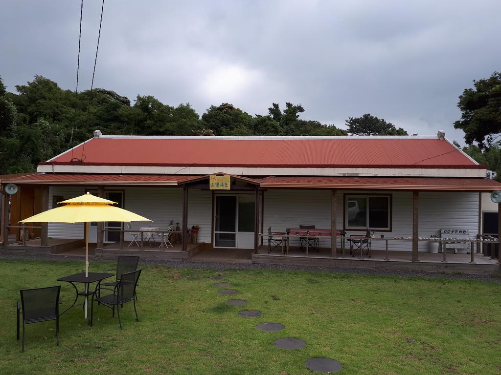 Joseph Tree Guest House Jeju Bagian luar foto