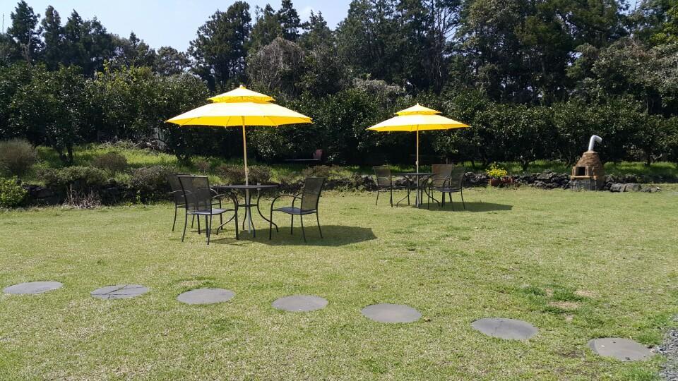 Joseph Tree Guest House Jeju Bagian luar foto