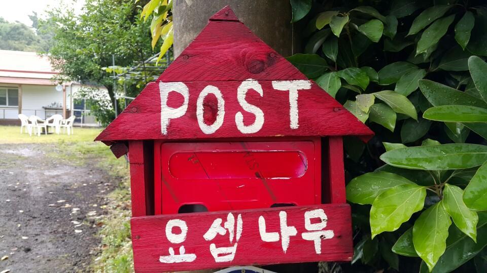 Joseph Tree Guest House Jeju Bagian luar foto