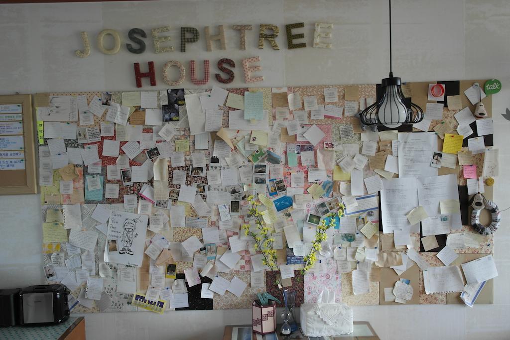 Joseph Tree Guest House Jeju Bagian luar foto